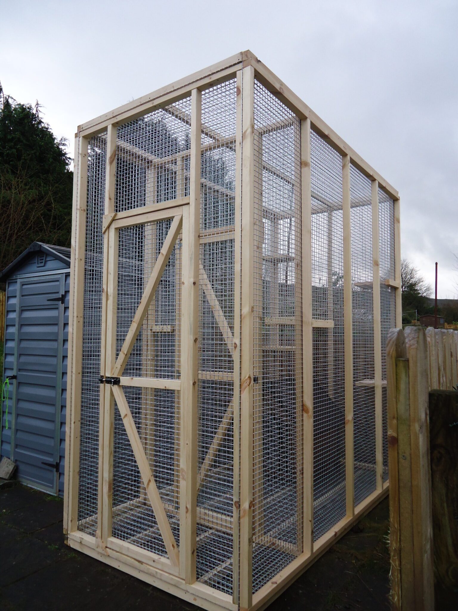 Outdoor Chinchilla Run Sheds Ahead